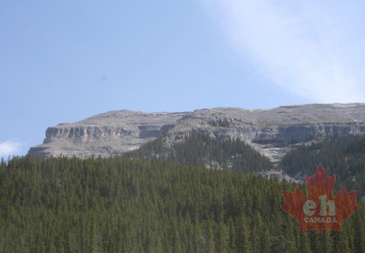 山景 - 靠近坎莫爾，阿爾伯塔，加拿大