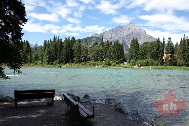 benches20090718_44.JPG