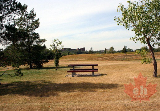 在馬斯科皮公園野餐