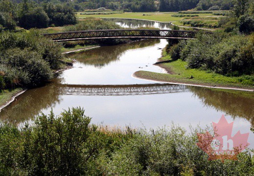 橋