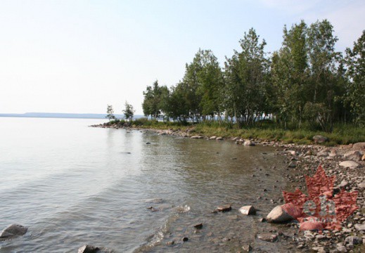 Beachcombing