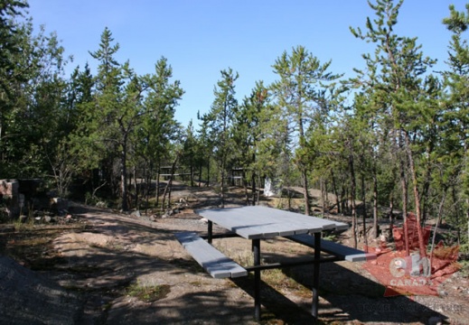 Picnic Area