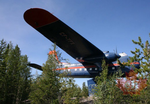 Bristol Air Freighter