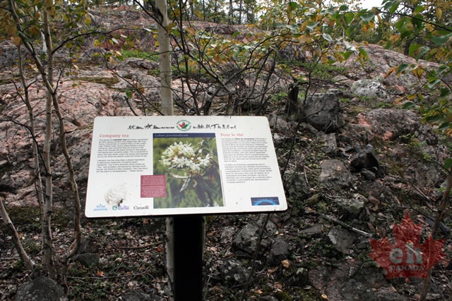 interpretive-sign.jpg