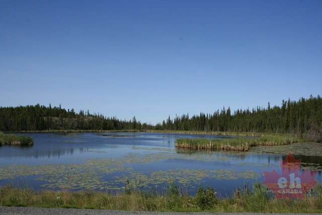 wetland-pond.jpg