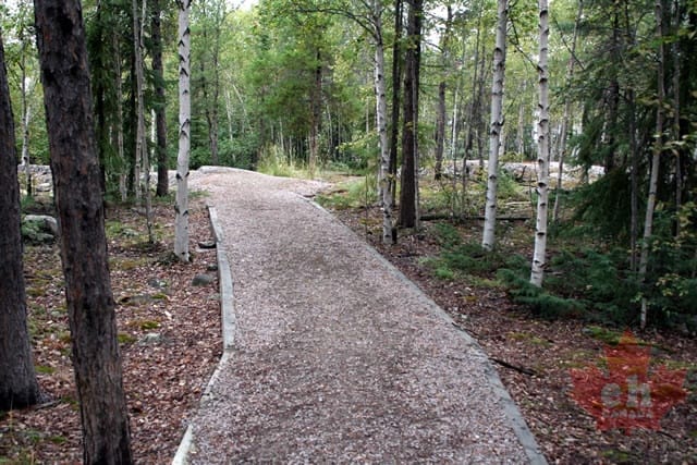 trail _1_.jpg