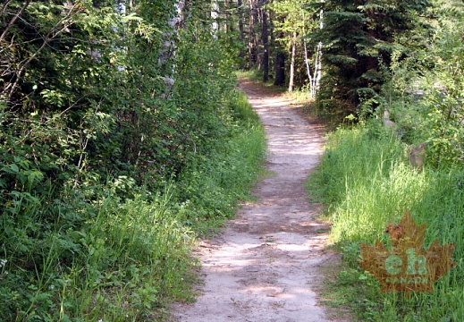 Kiwanis Nature Trail in Prince Albert