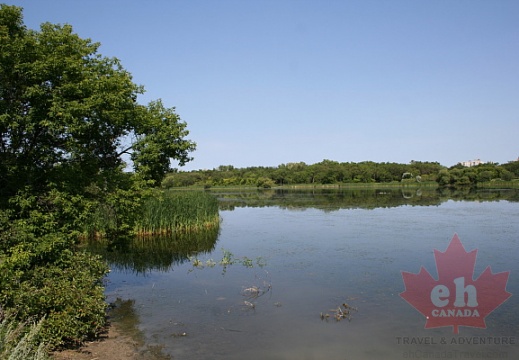 美麗的觀點Wascana湖