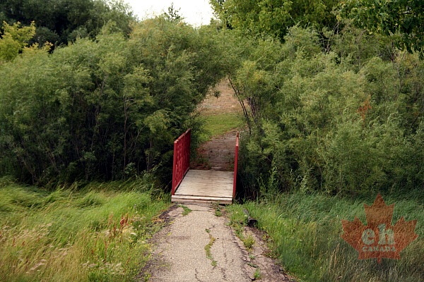 path-bridge20090803_430001.JPG