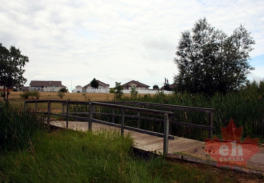 Sunningdale的Trail bridge