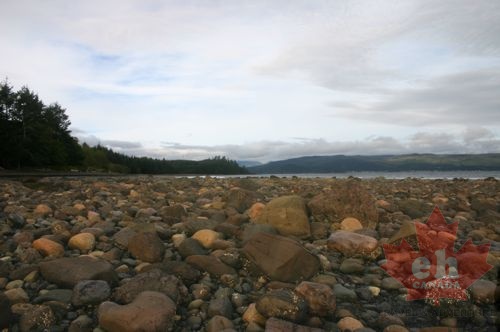 綠草覆蓋的小島