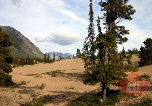 Sand Dunes