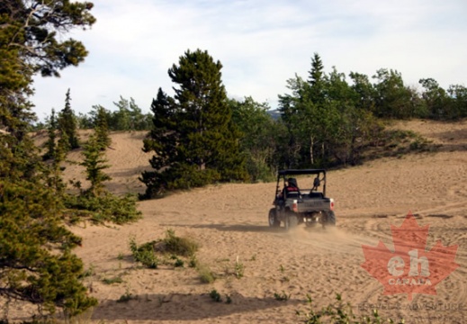 Carcross Desert