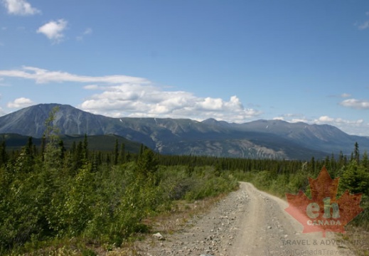 Montana Mountain