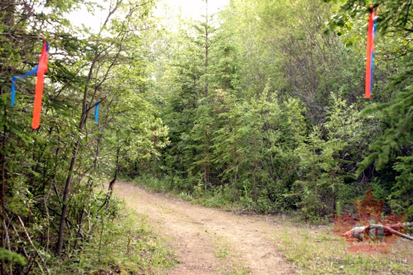 trail03.jpg