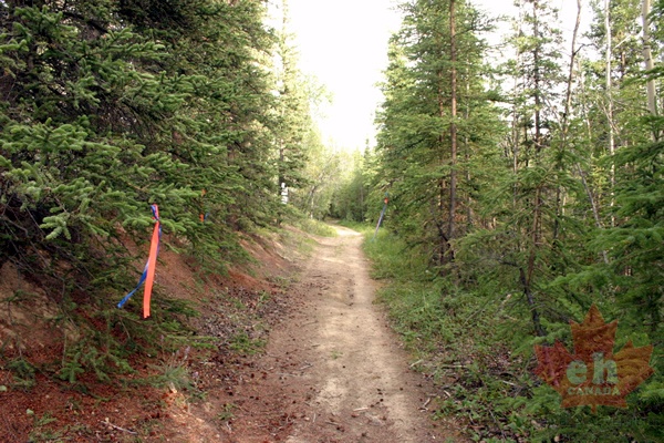 trail002.jpg