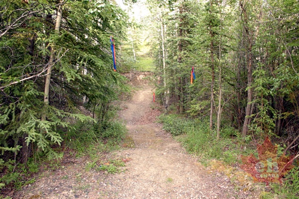 trail001.jpg