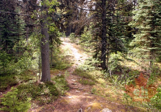 Chilkoot Trail