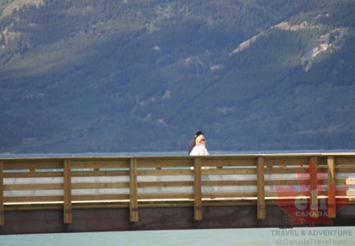 Carcross Footbridge