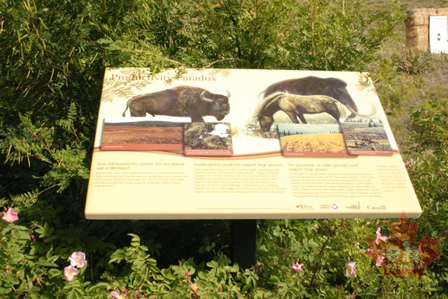 interpretive-signs.jpg