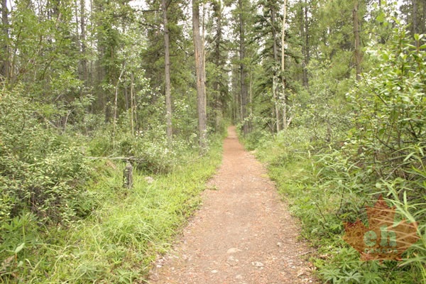 TRAIL 001.JPG