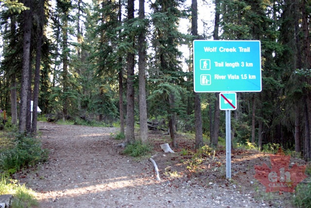 TRAILHEAD 002.JPG