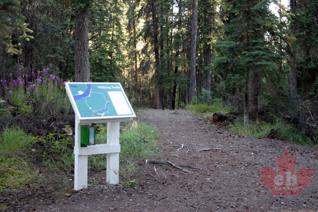 interpretive-sign.jpg