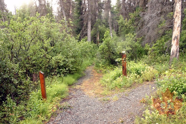 TRAIL 003.JPG