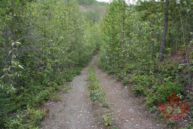 trail 003.jpg