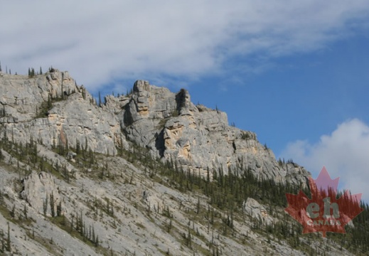 坎貝爾湖景