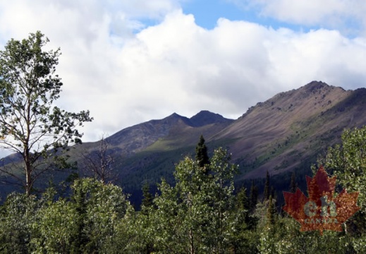 山景