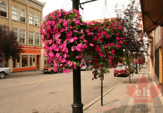 downtown-flowers-02