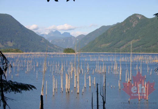 路易斯-湖泊- 002 powell-forest獨木舟路線