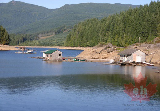 路易斯-湖泊- 006 powell-forest獨木舟路線