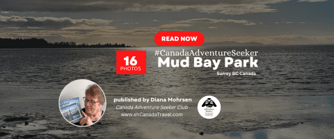 MUD-BAY