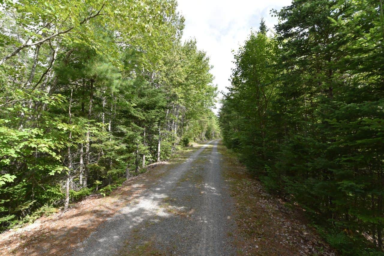 Musquodoboit步道是一條鐵路步道，這意味著它很寬，相對平坦，是徒步旅行者和騎自行車者的最愛