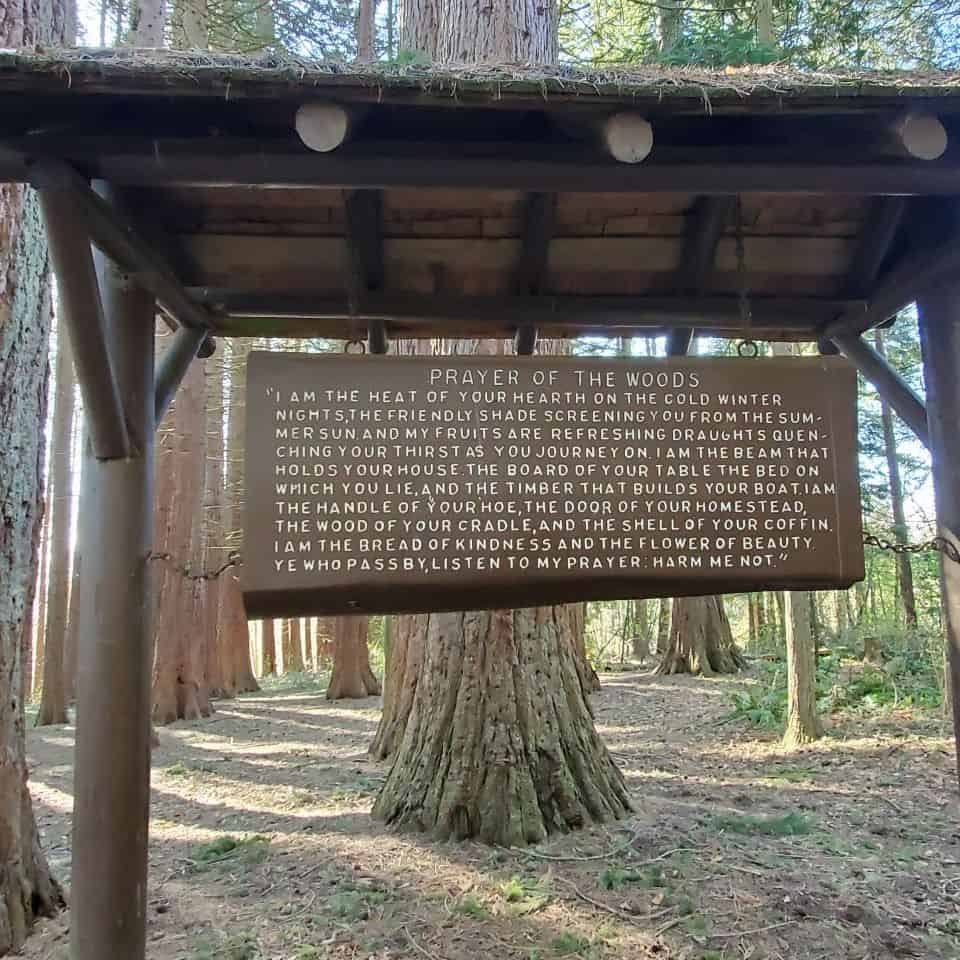 一個巨大的木製牌子掛在公元前在薩裏公園加拿大。伍茲提醒我們的禱告樹木的價值。