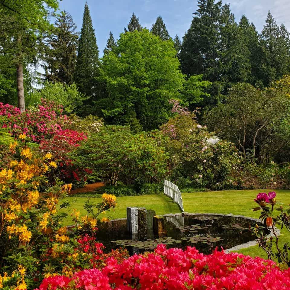 這個可愛的公園南部的薩裏有三個可愛的水景。風景非常漂亮。一個和平的地方花一兩個小時。