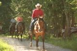 horses20090718_32