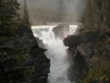 jasper_athabaska_falls_11