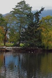 ambleside-park