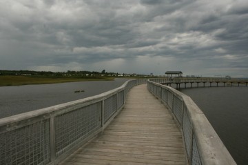 saltmarsh-boardwalk20100808_98