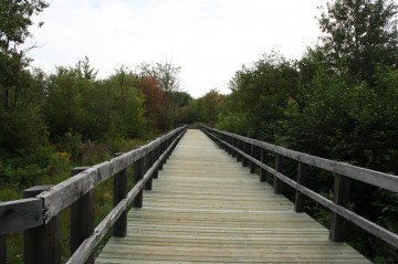 nashwaaksistrail-boardwalk-lookout20100816_15