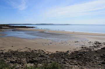 seal-cove-beach20120825_0582