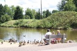 centennial-park-duck-pond-people20100822_47