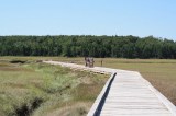 irving-nature-park-boardwalk20100819_87