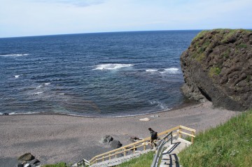 trail-steps-down-to-sea-caves20110814_47