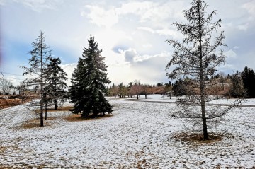 laycock-park-calgary-alberta-5