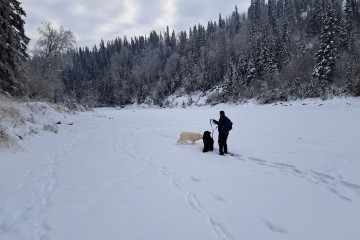 winter-at-pembina-river-provincial-park