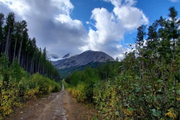 northyorkcreekplanecrashtrail - 800 x600